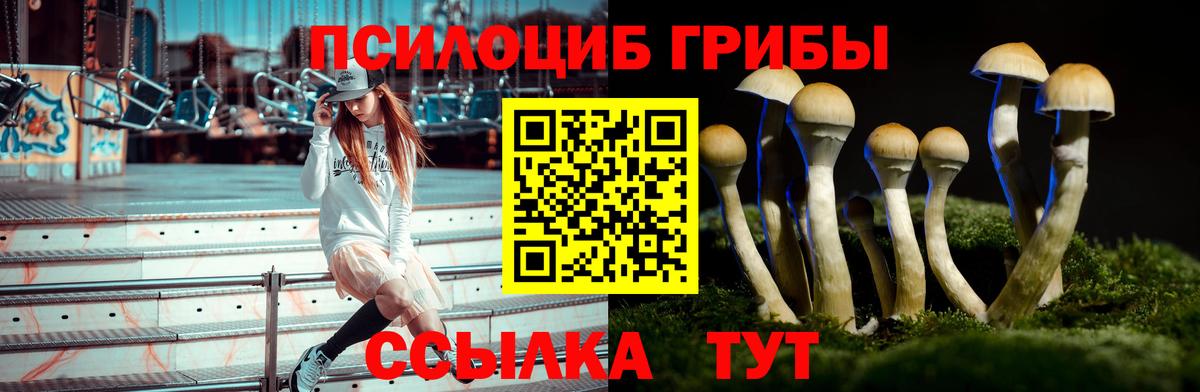 Псилоцибиновые грибы GOLDEN TEACHER  Псилоцибиновые грибы прущие грибы  Вход с VPN  Сальск 