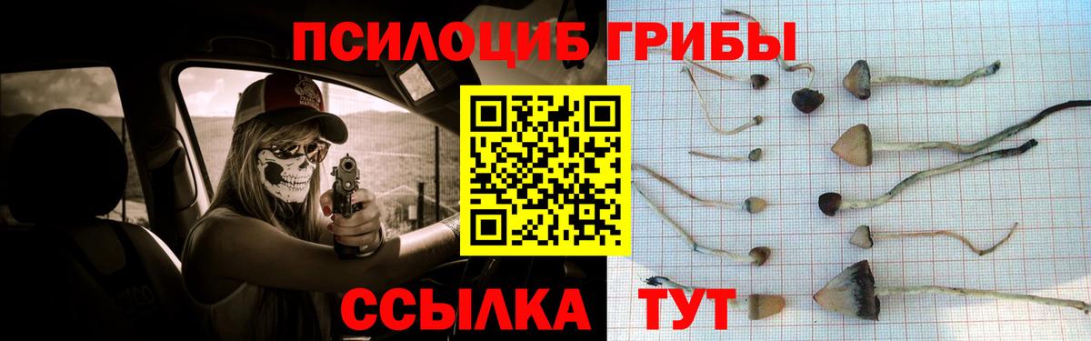 Псилоцибиновые грибы Magic Shrooms Сальск