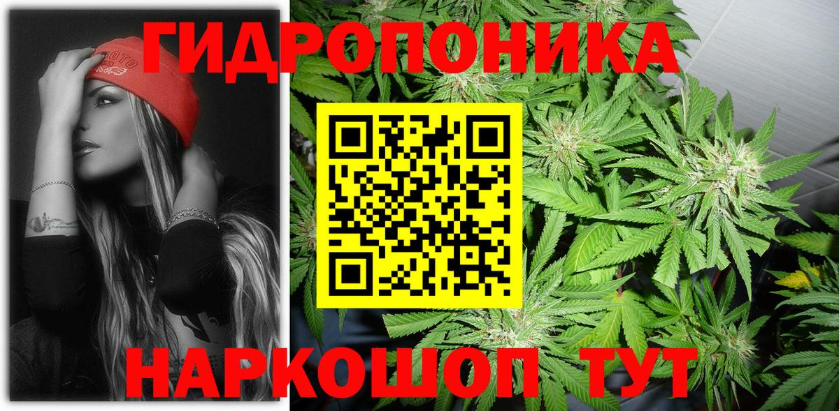 Шишки марихуана марихуана  Вход с VPN  Сальск  Каннабис семена  Шишки марихуана Bruce Banner 